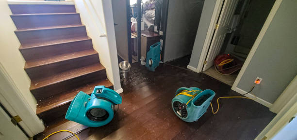 Best Professional water damage repair  in Tahlequah, OK