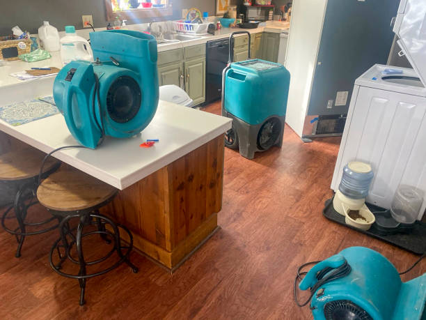 Best Flooded house restoration  in Tahlequah, OK