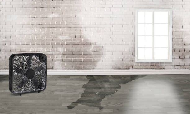 Best Fire Damage Restoration  in Tahlequah, OK