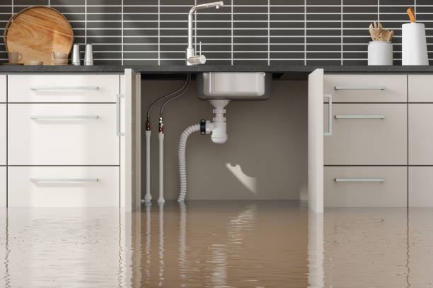 Best Water damage contractors near me  in Tahlequah, OK
